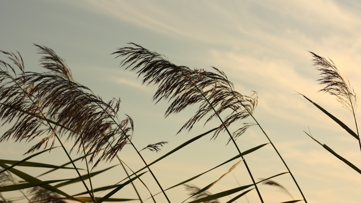 at autumn's threshold