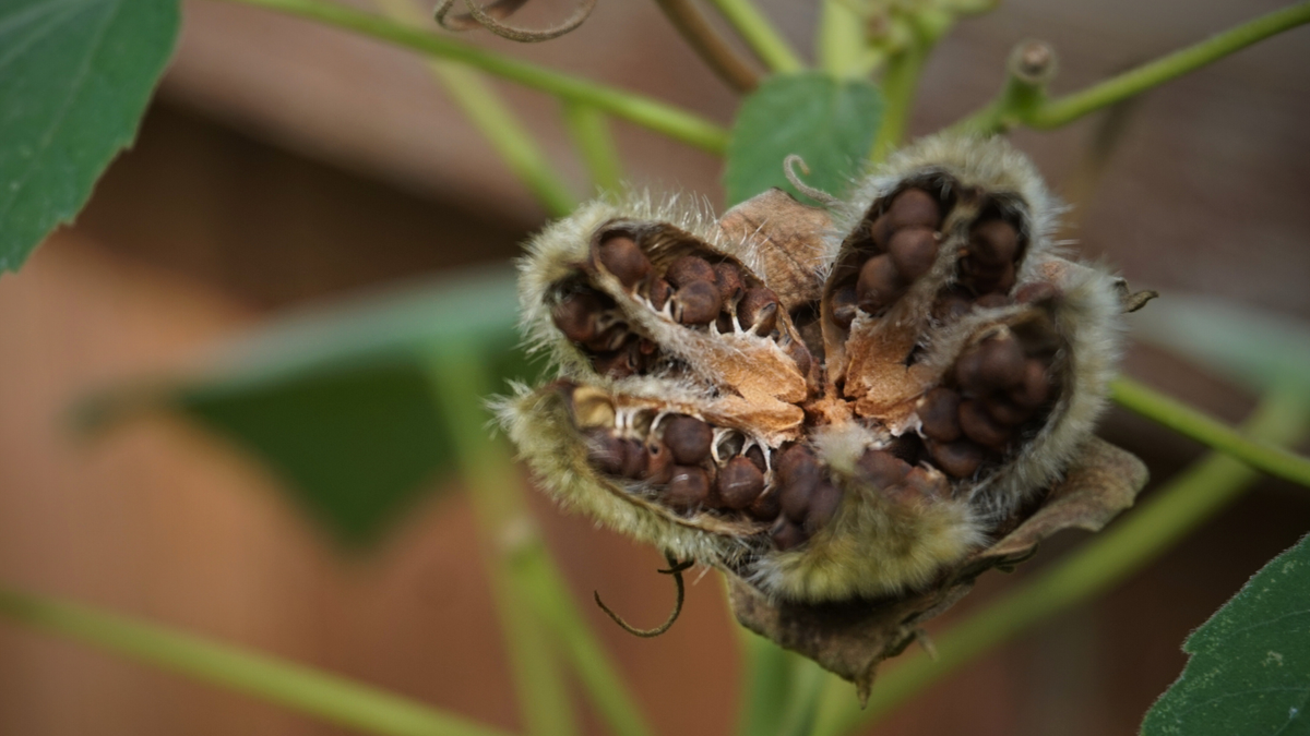 what the dark can teach us