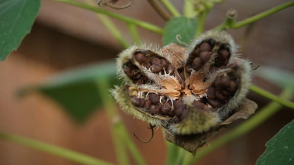 what the dark can teach us